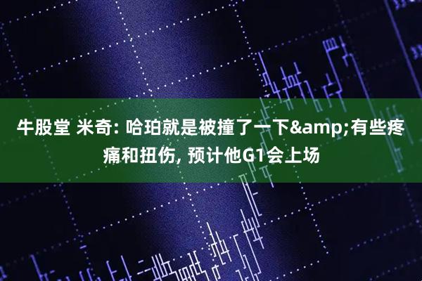 牛股堂 米奇: 哈珀就是被撞了一下&有些疼痛和扭伤, 预计他G1会上场