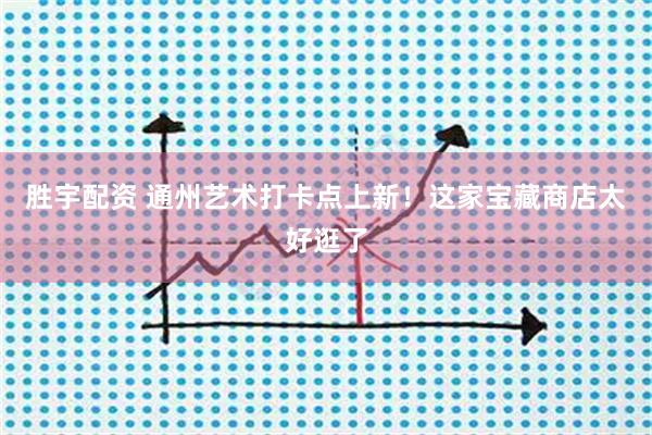 胜宇配资 通州艺术打卡点上新！这家宝藏商店太好逛了