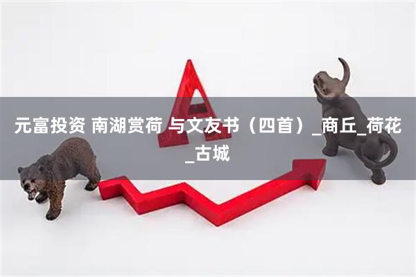 元富投资 南湖赏荷 与文友书（四首）_商丘_荷花_古城