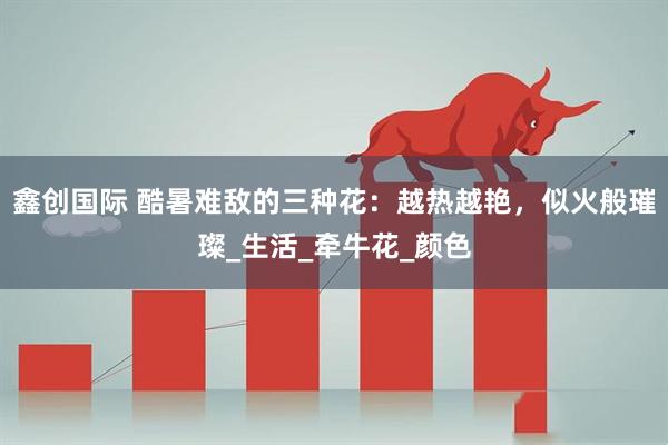 鑫创国际 酷暑难敌的三种花：越热越艳，似火般璀璨_生活_牵牛花_颜色