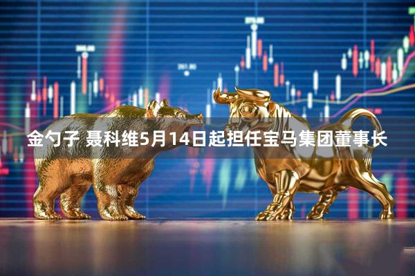 金勺子 聂科维5月14日起担任宝马集团董事长