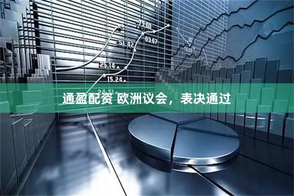 通盈配资 欧洲议会，表决通过